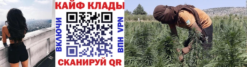 Все наркотики Выборг МАРИХУАНА Alpha-PVP Гашиш