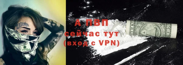 молекула духа Волоколамск