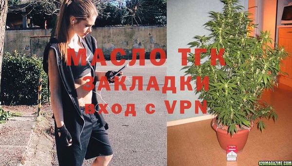 молекула духа Волоколамск