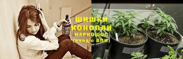 молекула духа Волоколамск