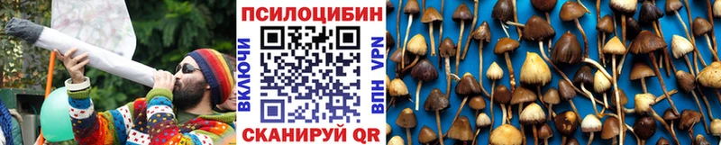 OMG зеркало  Выборг  Галлюциногенные грибы Magic Shrooms 
